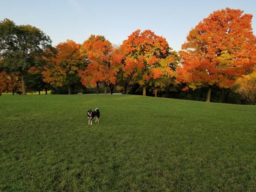 Currie Dog Park | 3535 N Mayfair Rd, Wauwatosa, WI 53222, USA | Phone: (414) 257-7275