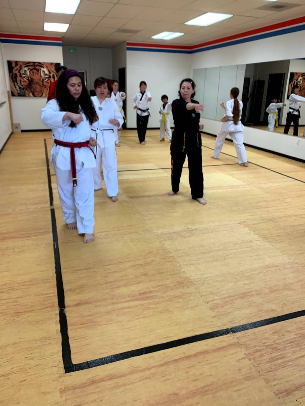 Tiger Taekwondo | 3246 Greyling Dr, San Diego, CA 92123, USA | Phone: (858) 560-8831