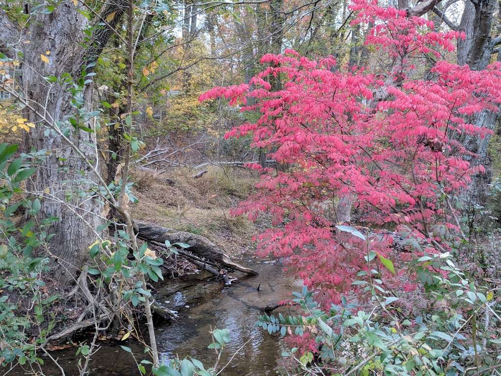 Font Hill Wetland Park | 10018-10020 Autumn View Ln, Ellicott City, MD 21042, USA