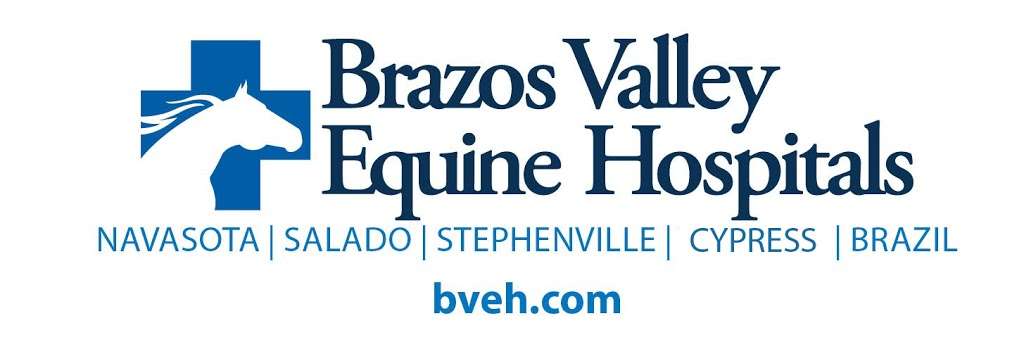 Brazos Valley Equine Hospitals | 6999 Hwy 6, Navasota, TX 77868, USA | Phone: (936) 825-2197