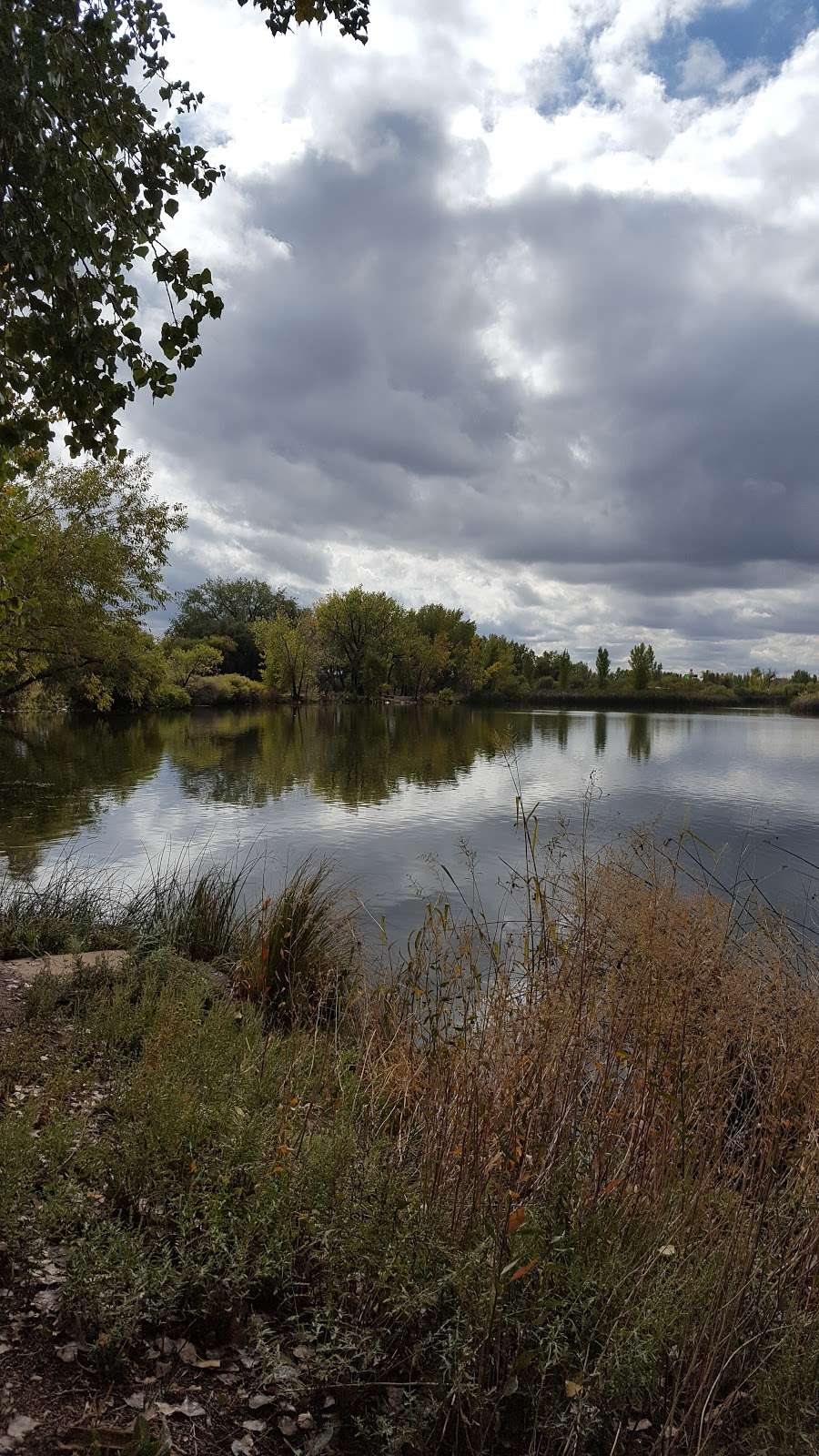 St. Vrain State Park | 3785 Weld County Road 24.5, Firestone, CO 80504 | Phone: (303) 485-0186