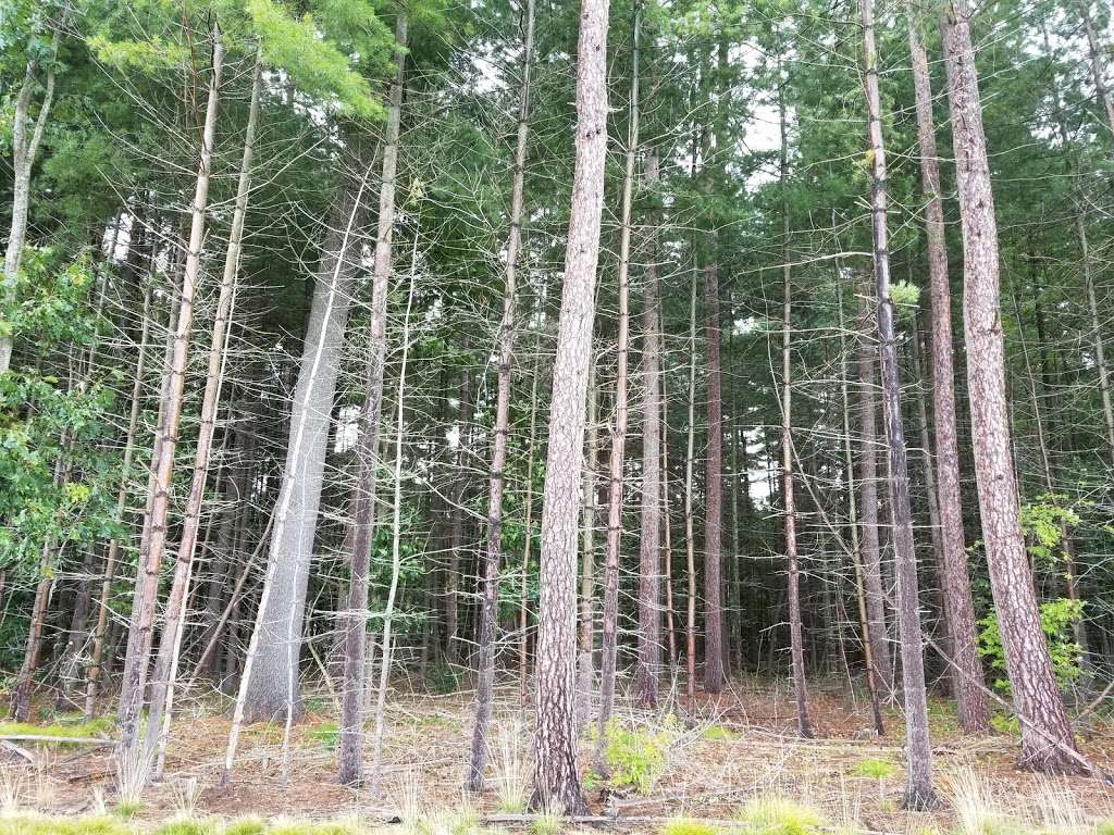 Pomeroy Trail | Tri-Valley Trail, Newark, DE 19711, USA
