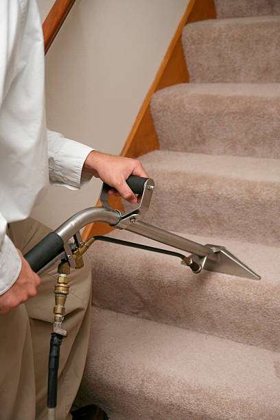 X & N Carpet Cleaning | 3521 Old Annapolis Rd, Maryland City, MD 20724 | Phone: (301) 861-4871