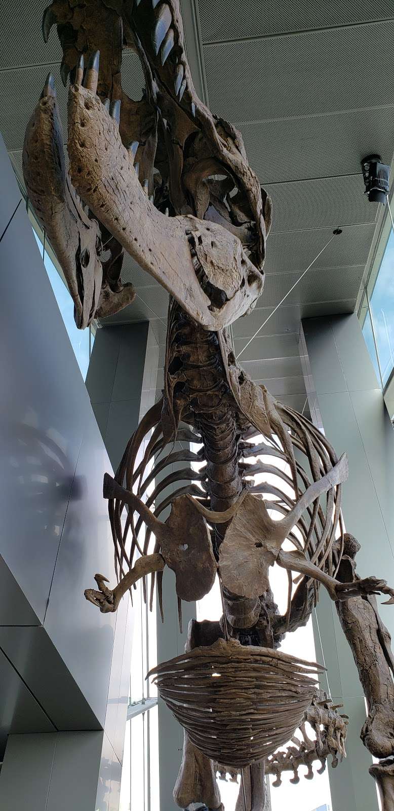 Perot Museum Lot B | 1159 Broom St, Dallas, TX 75202, USA