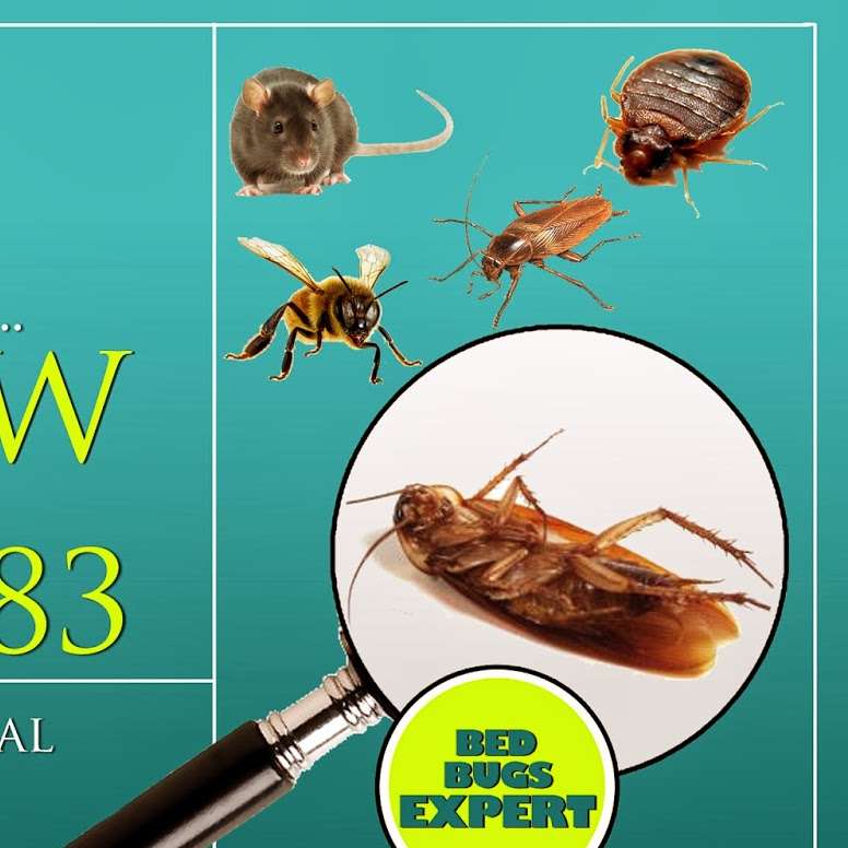 Primax Pest Control | 417 Independence Dr, Stafford, VA 22554, USA | Phone: (571) 402-2383