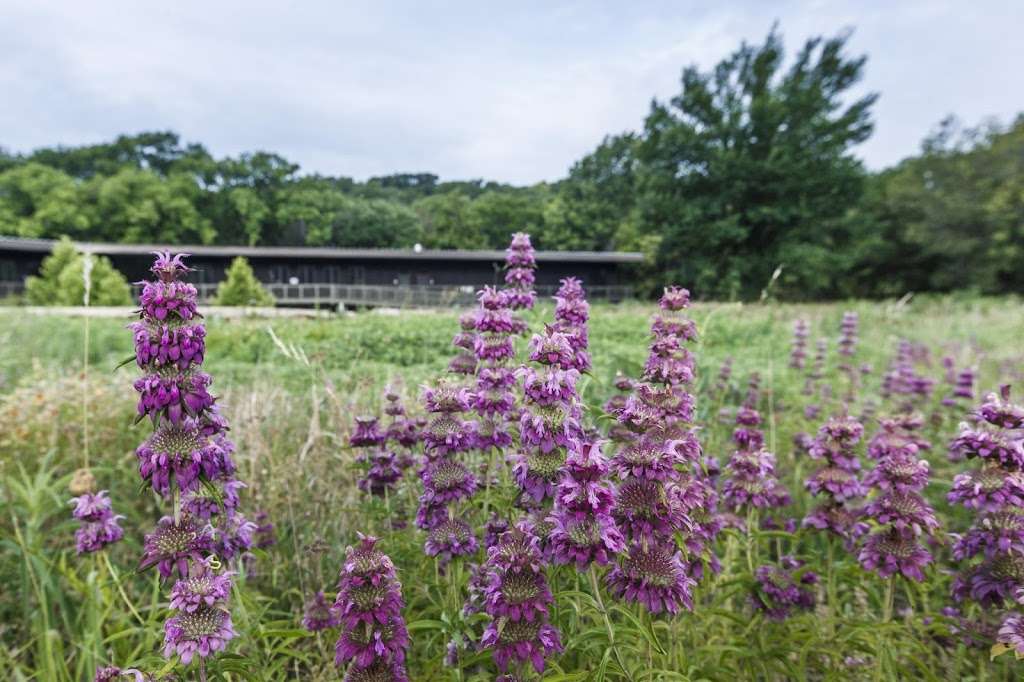 Dogwood Canyon Audubon Center | 1206 FM1382, Cedar Hill, TX 75104, USA | Phone: (469) 526-1980