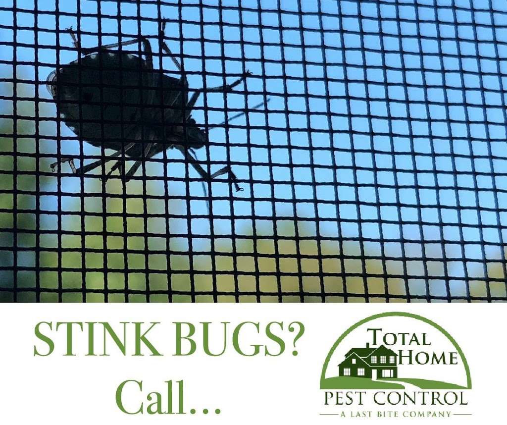 Total Home Pest Control | 119 Borden Rd, Middletown, NJ 07748, USA | Phone: (732) 938-3232