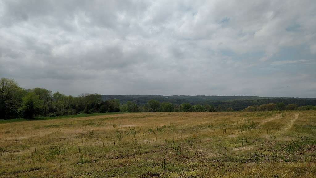 Horseshoe Bend | Frenchtown, NJ 08825, USA