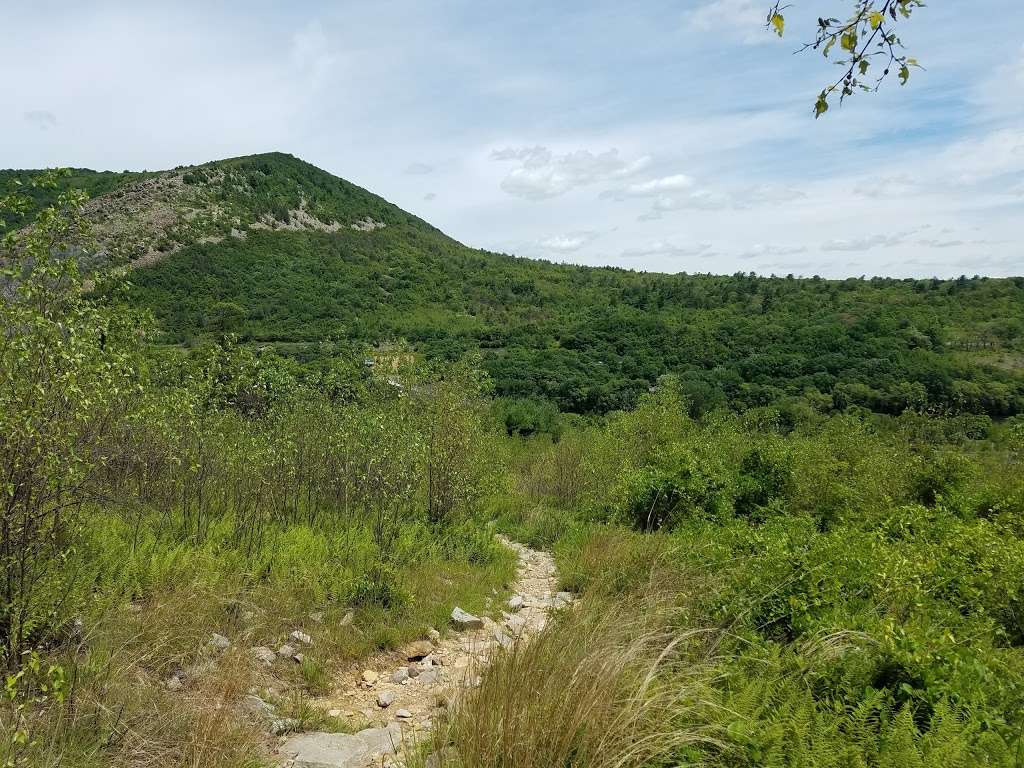 Blue Mountain Loop | Appalachian Trail, Slatington, PA 18080, USA