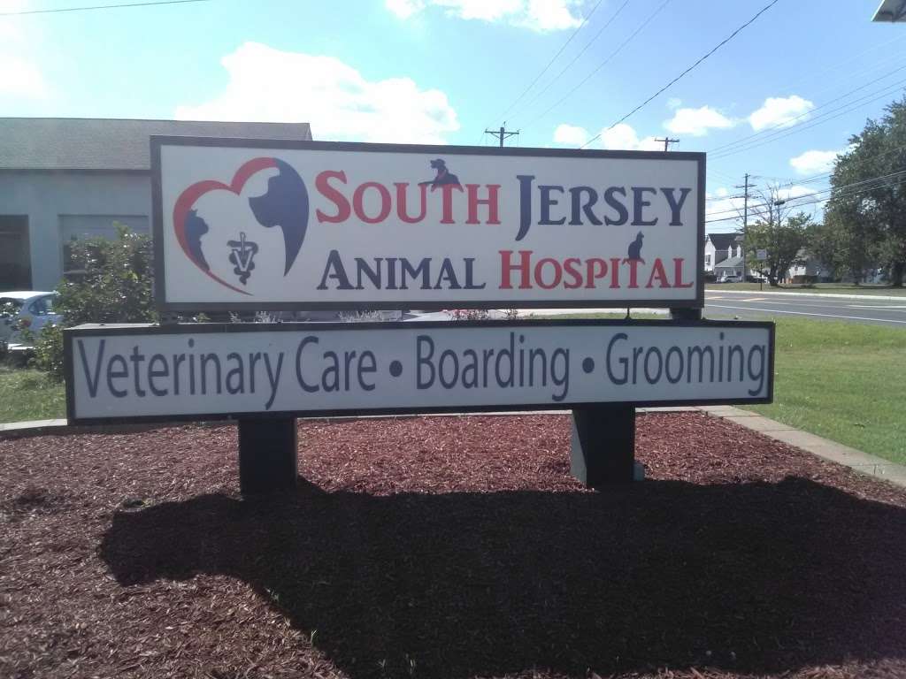 South Jersey Animal Hospital | 204 Medford Mt Holly Rd, Medford, NJ 08055, USA | Phone: (609) 654-0300