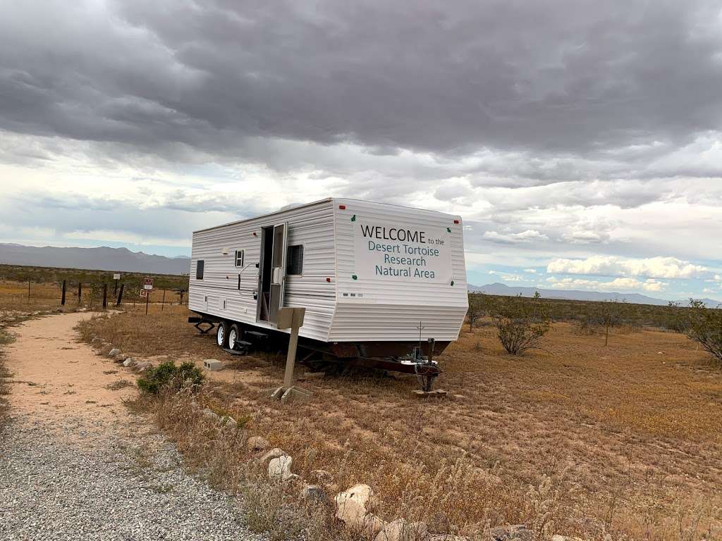 Desert Tortoise Natural Area | California City, CA 93505, USA | Phone: (951) 683-3872