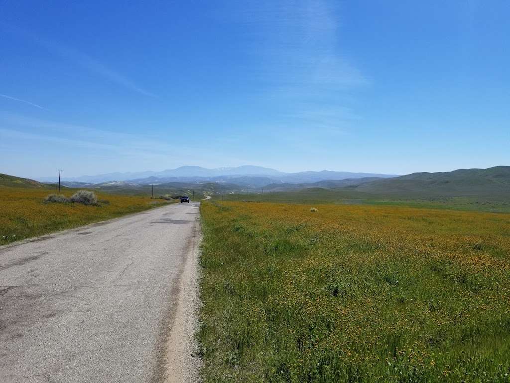 Carrizo Plain National Monument | Soda Lake Rd, Maricopa, CA 93252, USA