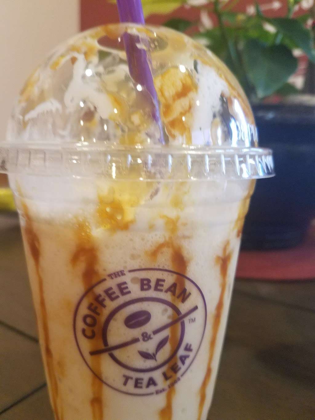 The Coffee Bean & Tea Leaf | 6115 S Rainbow Blvd Suite 101, Las Vegas, NV 89118 | Phone: (702) 220-6820