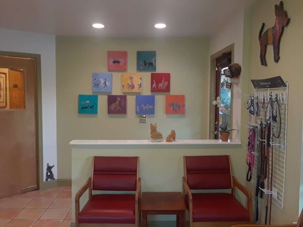 Sonoma Veterinary Clinic | 21003 Broadway, Sonoma, CA 95476, USA | Phone: (707) 938-4455