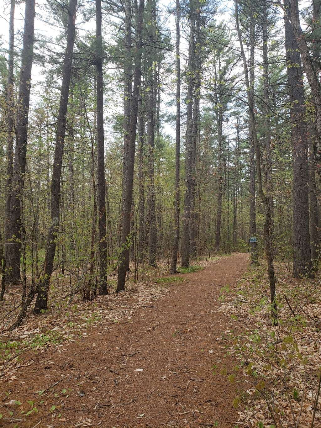 Rideout Rd Trailhead | 130-94 Rideout Rd, Hollis, NH 03049, USA