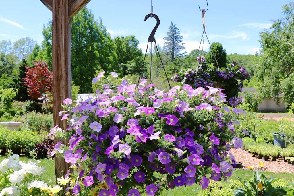 Troys Garden Nurseries | 97 Bedford-Banksville Rd, Bedford, NY 10506, USA | Phone: (914) 234-3400