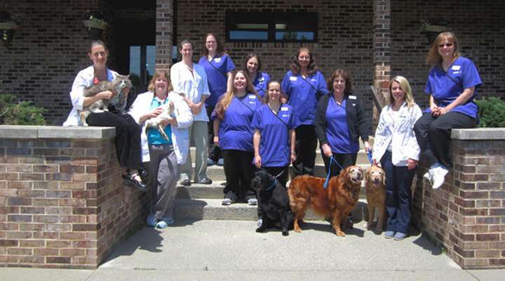 VCA Northside Animal Hospital | 185 Mikron Rd, Bethlehem, PA 18020, USA | Phone: (610) 759-5922