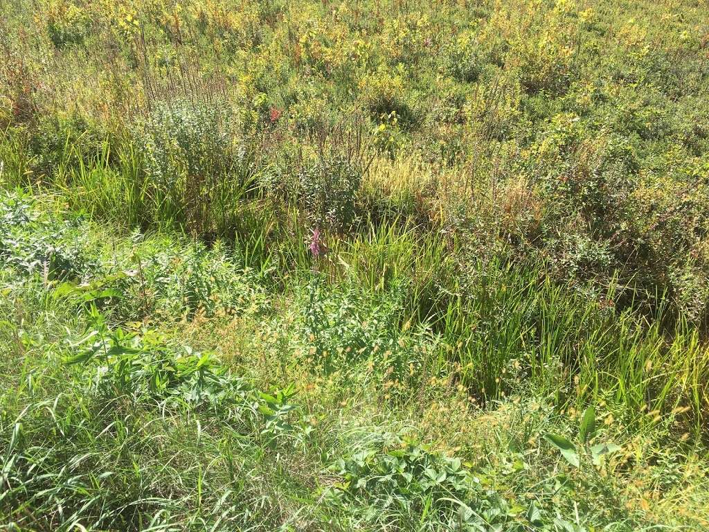 Cranberry Bog | Carlisle, MA 01741, USA