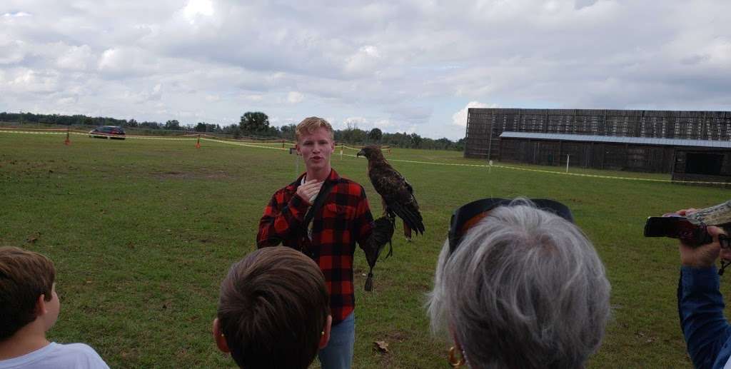 Avian Reconditioning Center | 323 Lester Road, Apopka, FL 32712 | Phone: (407) 461-1056