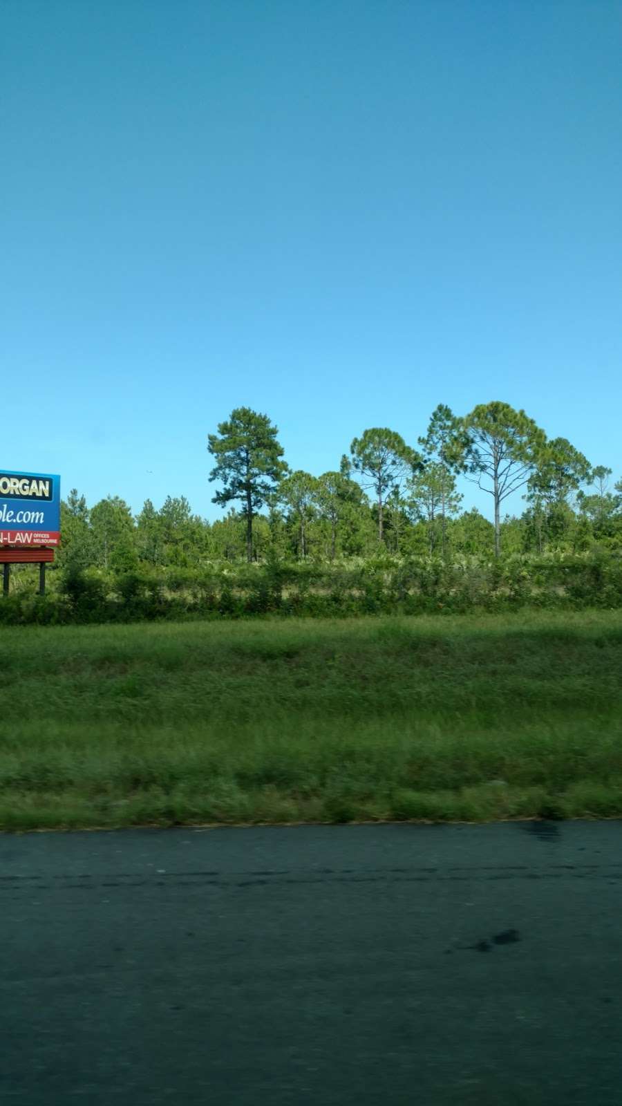 Scottsmoor Flatwoods Sanctuary East | 6000 Magoon Ave, Mims, FL 32754, USA