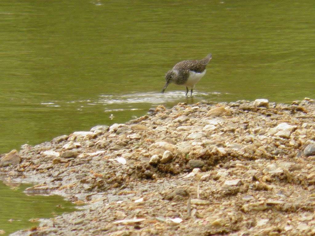 Patuxent River State Park | 23222 Georgia Ave, Brookeville, MD 20833, USA | Phone: (301) 924-2127