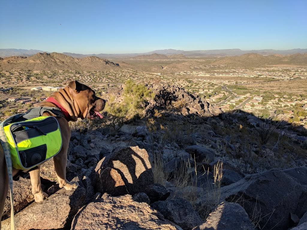 Peoria Sunrise Mountain Preserve | Sunrise Mountain Trail, Peoria, AZ 85383, USA | Phone: (623) 773-7000