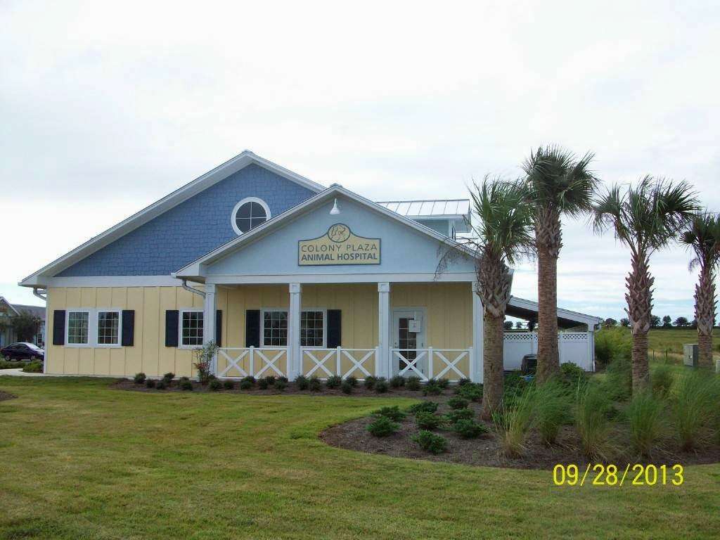 Colony Plaza Animal Hospital | 340 Heald Way, The Villages, FL 32163 | Phone: (352) 633-7327