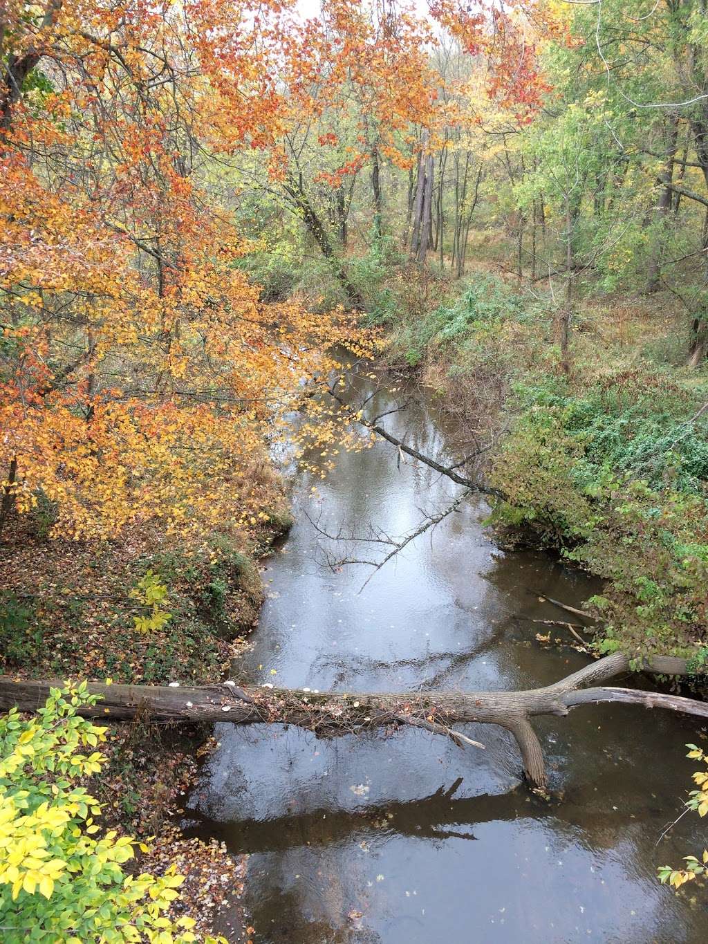 Union Transportation Trail Trailhead | 8 Millstream Rd, Cream Ridge, NJ 08514