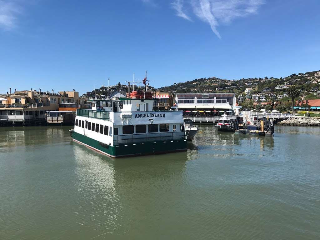 Tamalpais Charters | Berth 2, 21 Main St, Tiburon, CA 94920, USA | Phone: (415) 789-6082