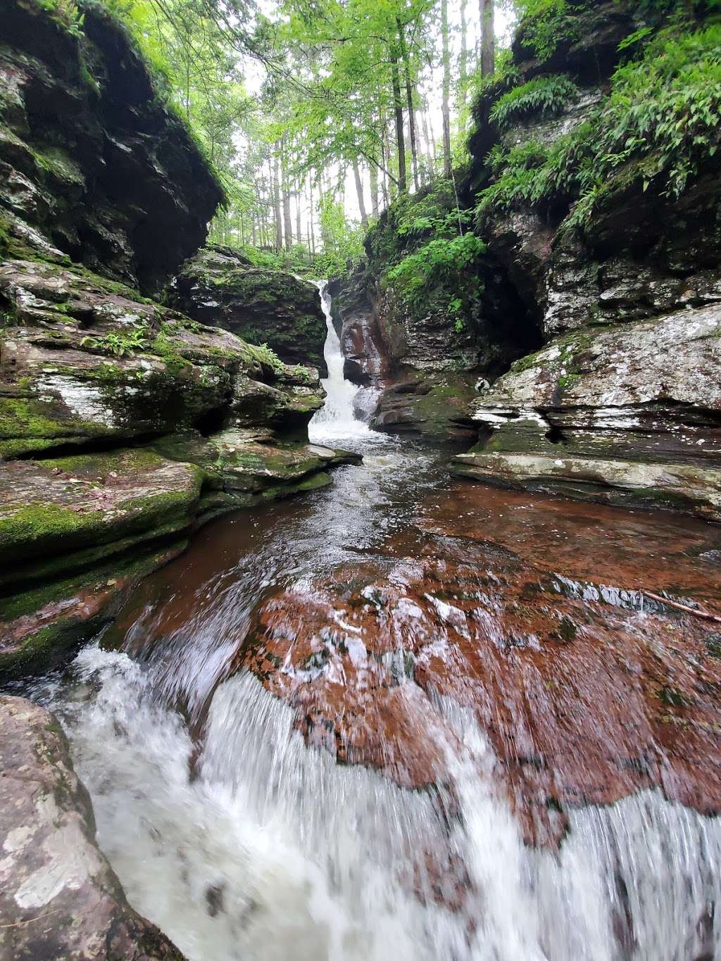 Evergreen Trail at Ricketts Glen | Benton, PA 17814