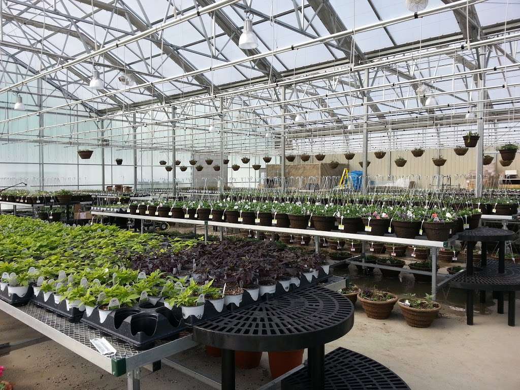 Wasson Nursery | 13279 E 126th St, Fishers, IN 46037, USA | Phone: (317) 770-3321