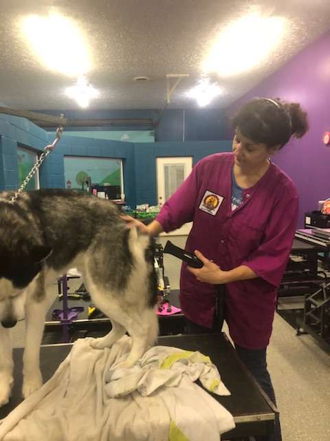 Grooming School of Indiana | 2435 S State Rd 135, Greenwood, IN 46143, USA | Phone: (317) 919-5471