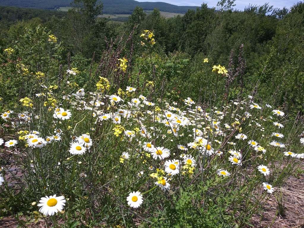 Scenic Overlook (Carbondale) | Carbondale, PA 18407