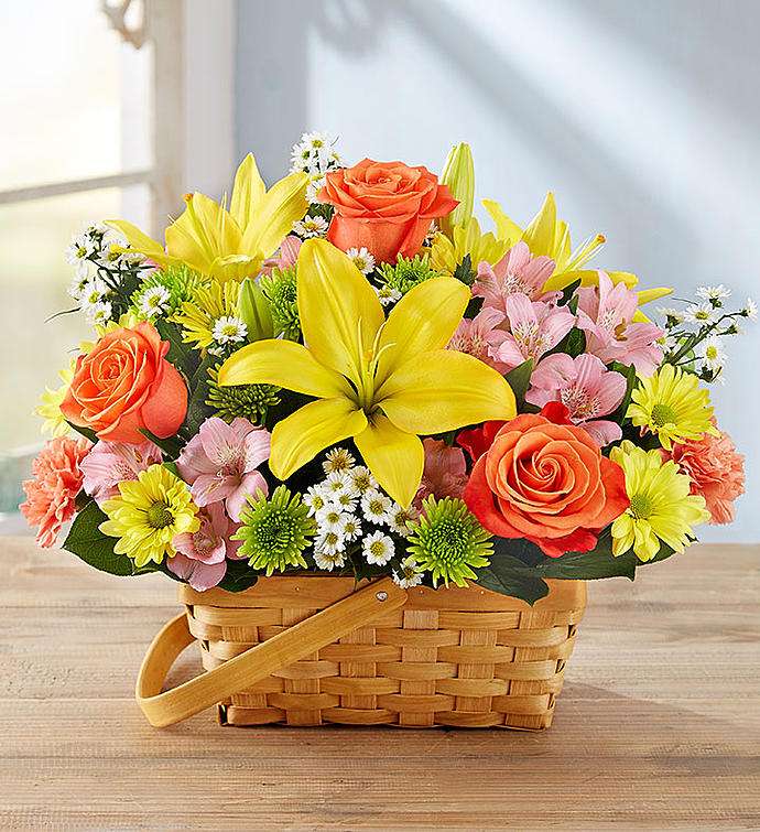 Norton Florist | 229 Mansfield Ave, Norton, MA 02766, USA | Phone: (508) 622-5900