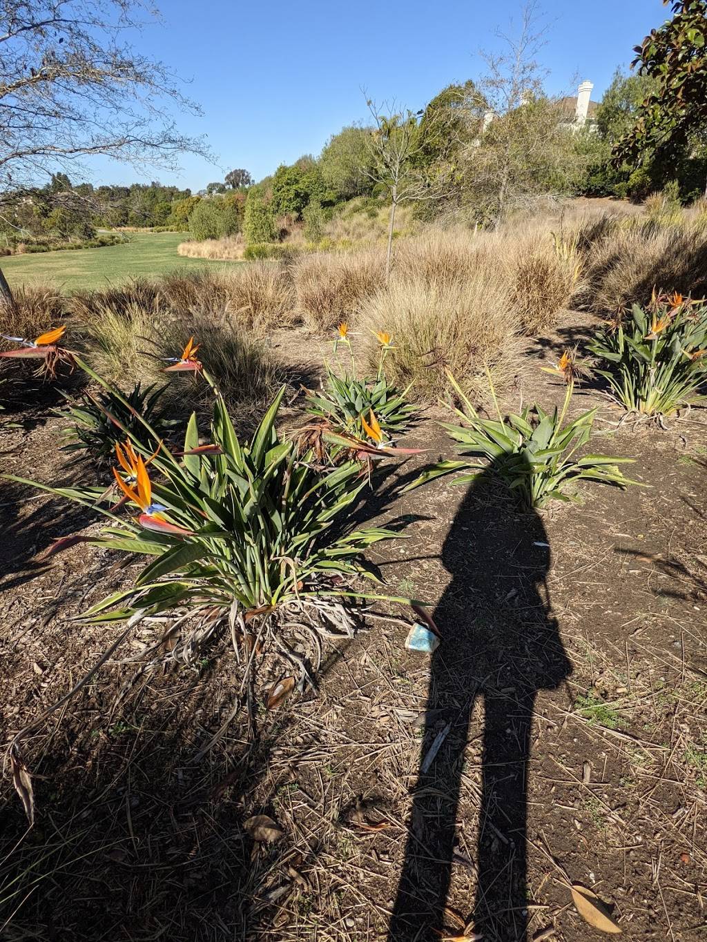 John Baca Park | 7329 Sherwood Dr, Huntington Beach, CA 92648, USA | Phone: (714) 536-5486