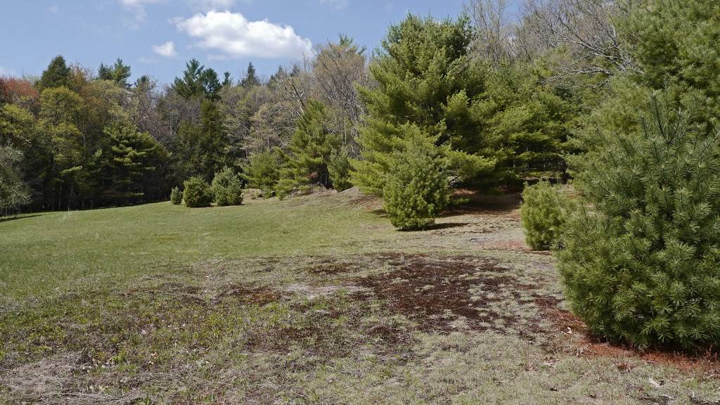 Damascus Forest Trail | 109 Maccubbins Rd, Beach Lake, PA 18405