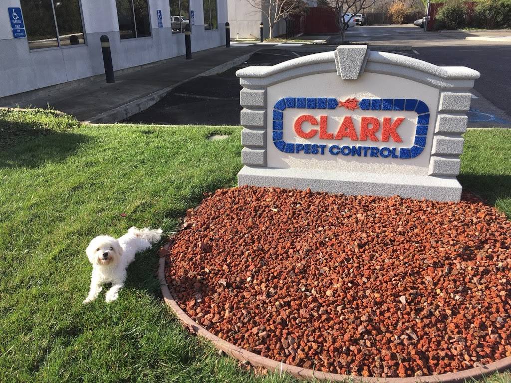 Clark Pest Control | 199 Topaz St, Milpitas, CA 95035, USA | Phone: (408) 337-8660