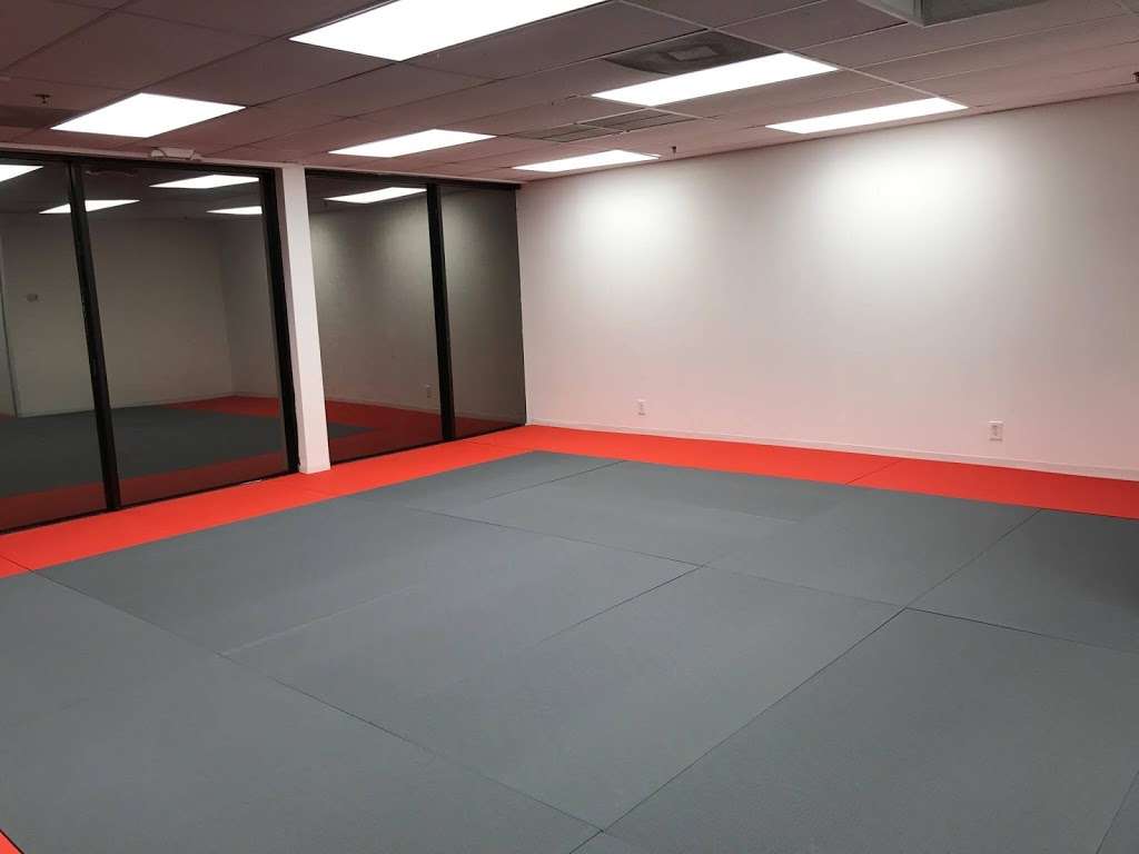 L.I. Ninjutsu Centers Sakura Dojo Florida | 1301 W Boynton Beach Blvd Suite 11, Boynton Beach, FL 33426 | Phone: (561) 720-4110