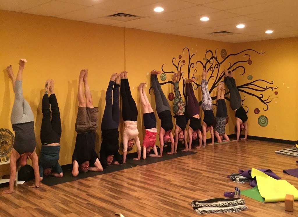 Ashva Yoga | 723 N Wilcox St, Castle Rock, CO 80104, USA | Phone: (719) 351-9837