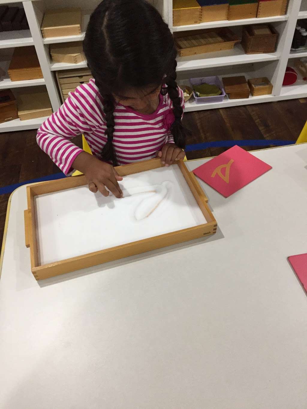 The Lotus Montessori School | 4324 Fraser Cir, Naperville, IL 60564, USA | Phone: (952) 200-0373