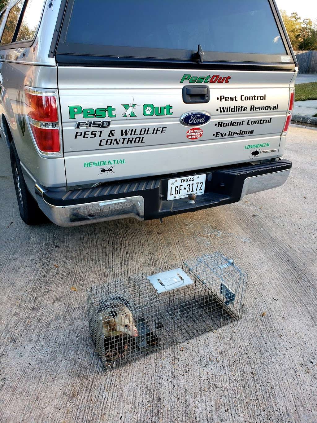 Pest X Out Pest & Wildlife Control LLC | 10515 Jaycreek Dr, Houston, TX 77070, USA | Phone: (832) 799-8077