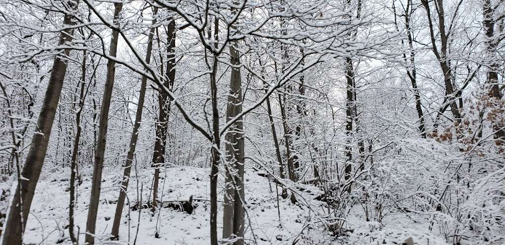 Campbell's Ledge Lookout Trail - Red Oak Dr, Duryea, PA 18642, USA ...