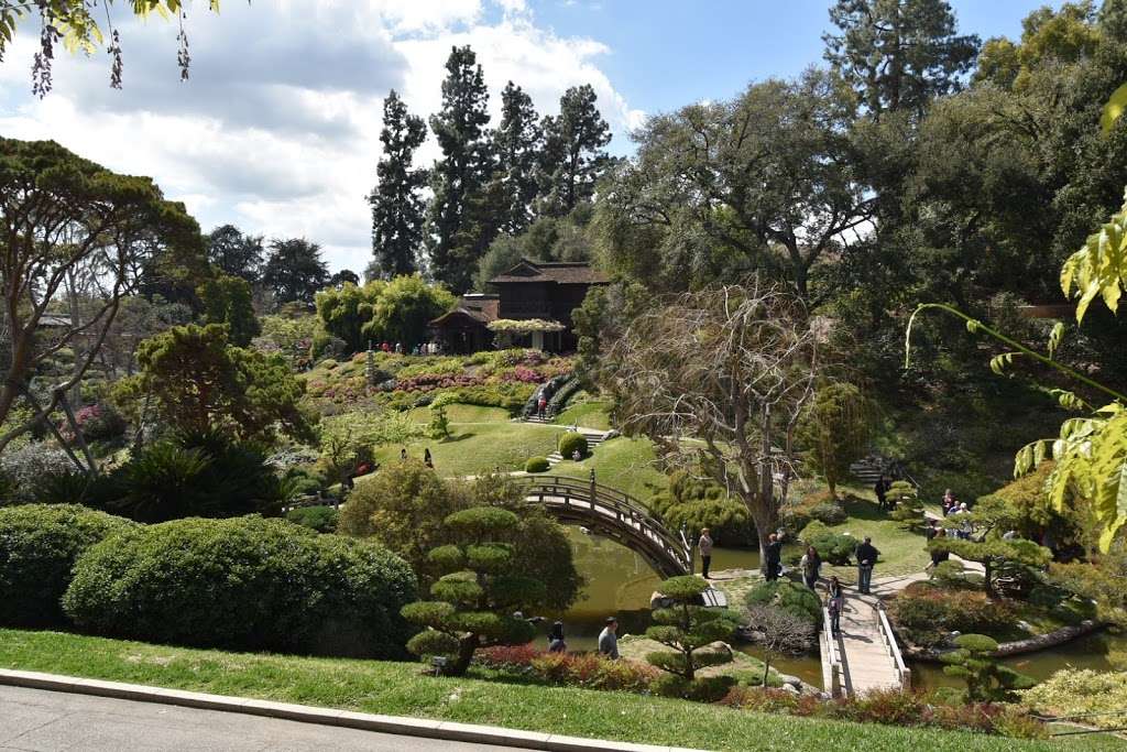 The Huntington Library, Art Collections, and Botanical Gardens | 1151 Oxford Rd, San Marino, CA 91108, USA | Phone: (626) 405-2100