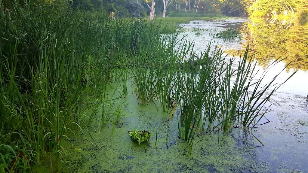 Bill Ashe Visitor Center at Oxbow National Wildlife Refuge | 80 Hospital Rd, Devens, MA 01434, USA