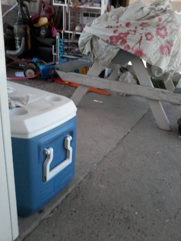 Teague Elementary School | 4725 N Polk Ave, Fresno, CA 93722, USA | Phone: (559) 276-5260