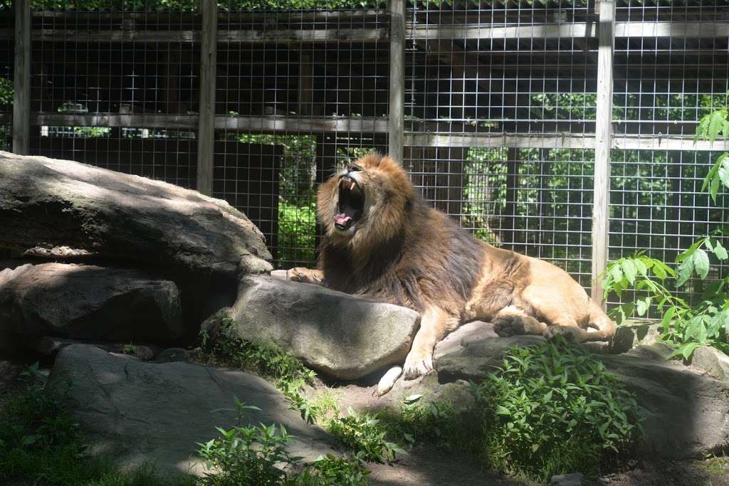 Claws N Paws Wild Animal Park | 1475 Ledgedale Rd, Lake Ariel, PA 18436, USA | Phone: (570) 698-6154