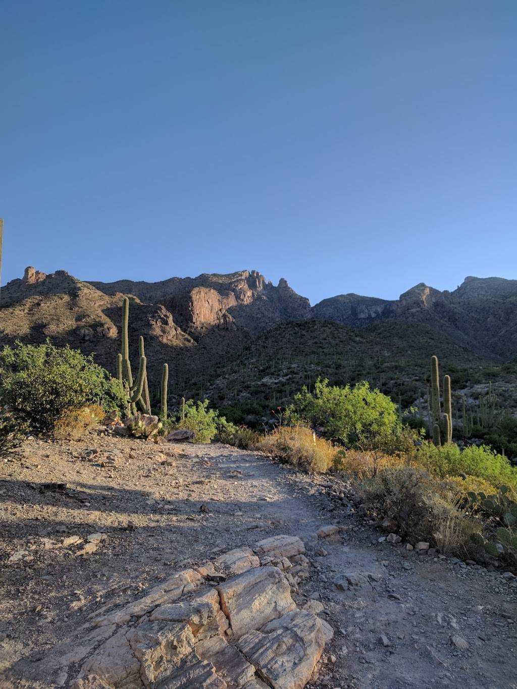 Richard McKee Finger Rock Trailhead | 7119 N Alvernon Way, Tucson, AZ 85718, USA | Phone: (520) 724-2263