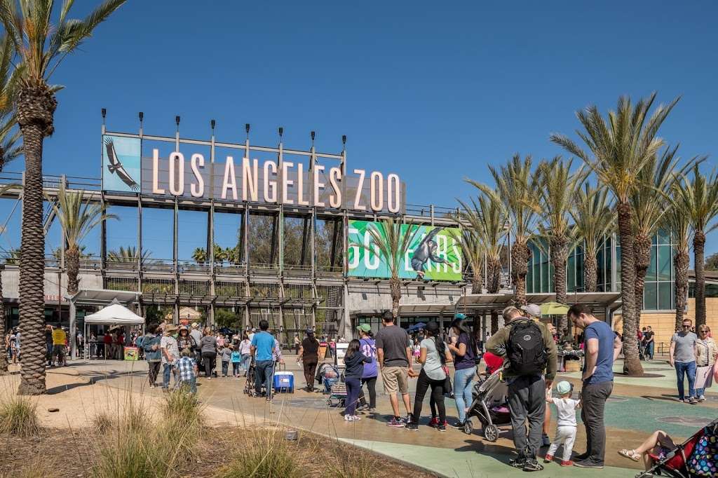 Los Angeles Zoo | 5333 Zoo Dr, Los Angeles, CA 90027, USA | Phone: (323) 644-4200