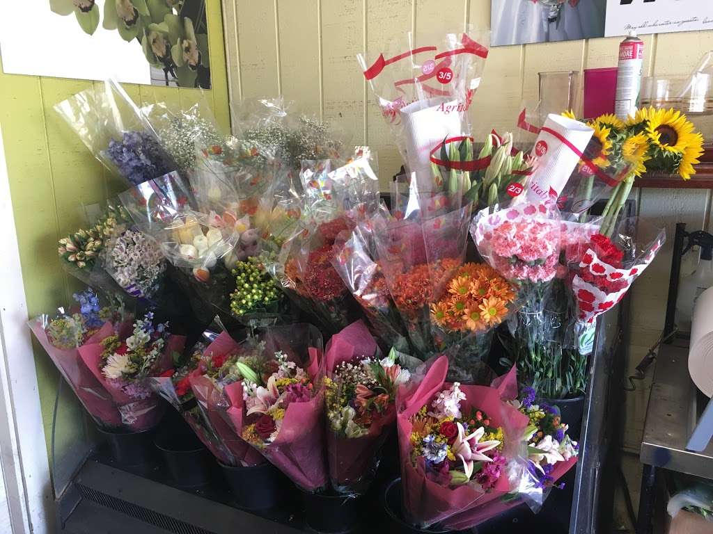 The Florist at Flamingo Road Nursery | 1655 S Flamingo Rd, Davie, FL 33325, USA | Phone: (954) 682-9731