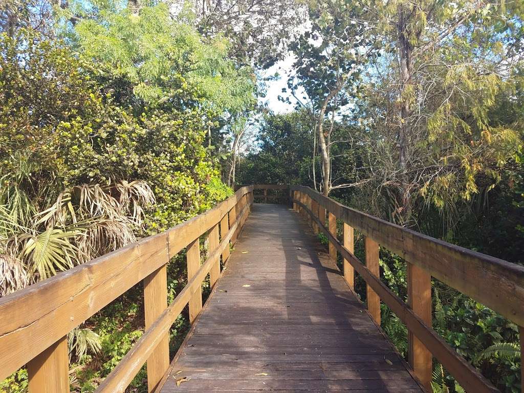 Daggerwing Nature Center | 11435 Park Access Rd, Boca Raton, FL 33498 | Phone: (561) 629-8760